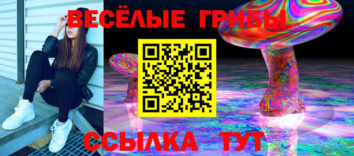 Псилоцибиновые грибы Magic Shrooms Новокуйбышевск