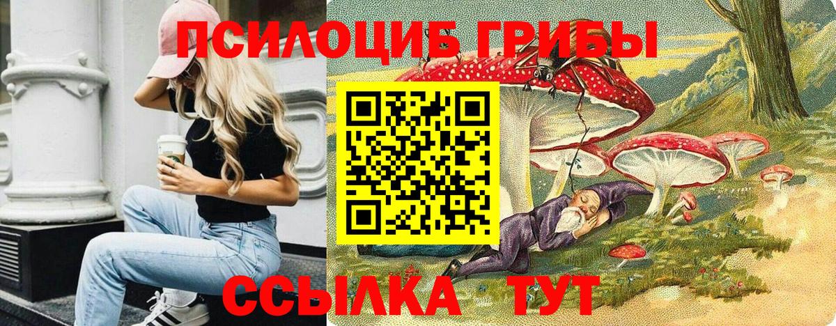 Новокуйбышевск  Галлюциногенные грибы GOLDEN TEACHER  Галлюциногенные грибы мухоморы  Вход с VPN 